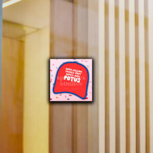 Anti Trump MAGA Red Hat Sticker ,Car Magnet